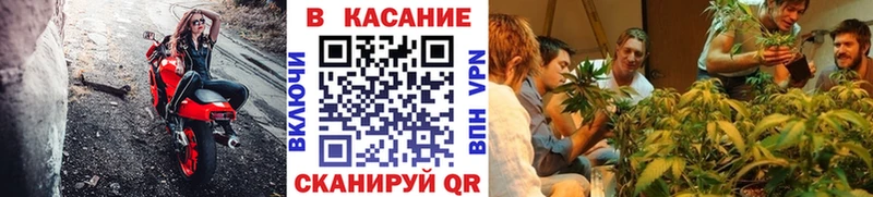 Наркотические вещества Красноуфимск Каннабис  A-PVP  Гашиш  Псилоцибиновые грибы  КОКАИН  Мефедрон 