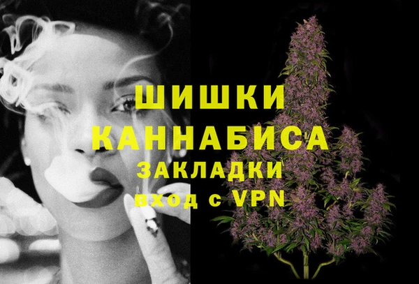 молекула духа Коряжма