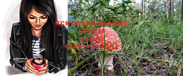 соль курить ск Корсаков