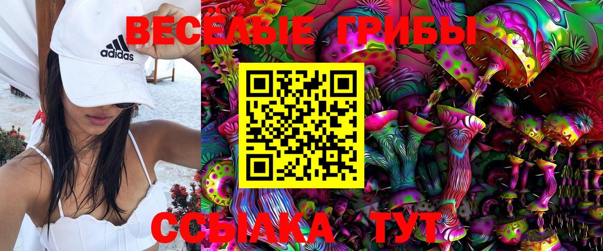 Псилоцибиновые грибы Psilocybine cubensis Красноуфимск